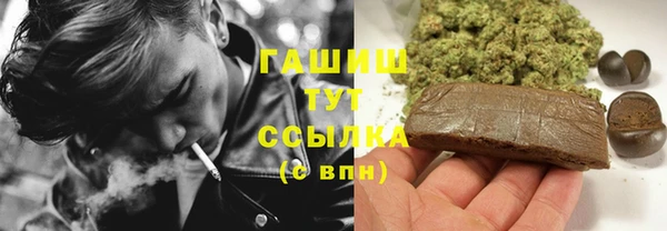 прущие грибы Лабытнанги