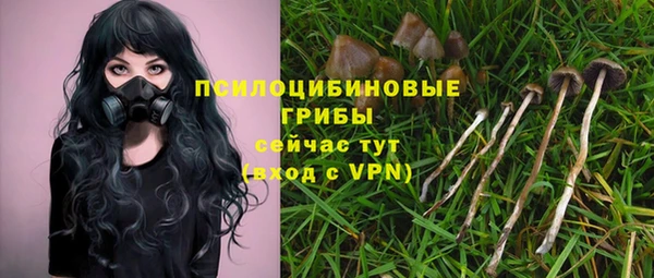 винт Балахна