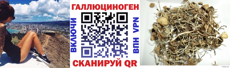 Купить  Бежецк  Псилоцибиновые грибы ЛСД 